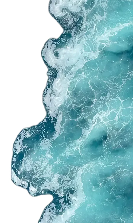 форма
